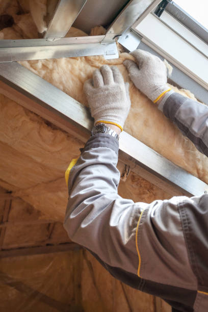 Best Geographic-Specific Insulation Services in Deerwood, TX